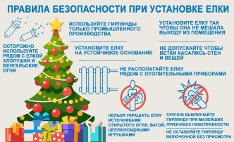 Правила пожарной безопасности при проведении Новогодних праздников Правила пожарной безопасности при проведении Новогодних праздников.